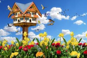 Vogelhaus bauen auf einer Blumenwiese
